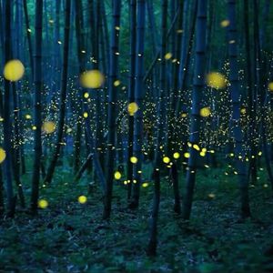 走光㊙️露出奶头8
